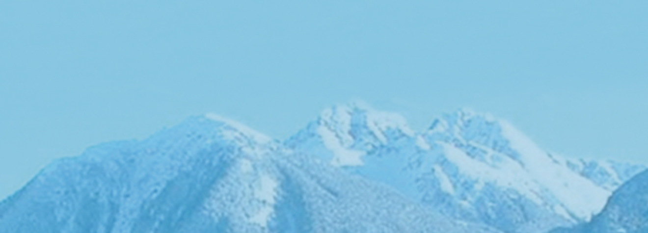 Firewire Surfboards Double Agent Review