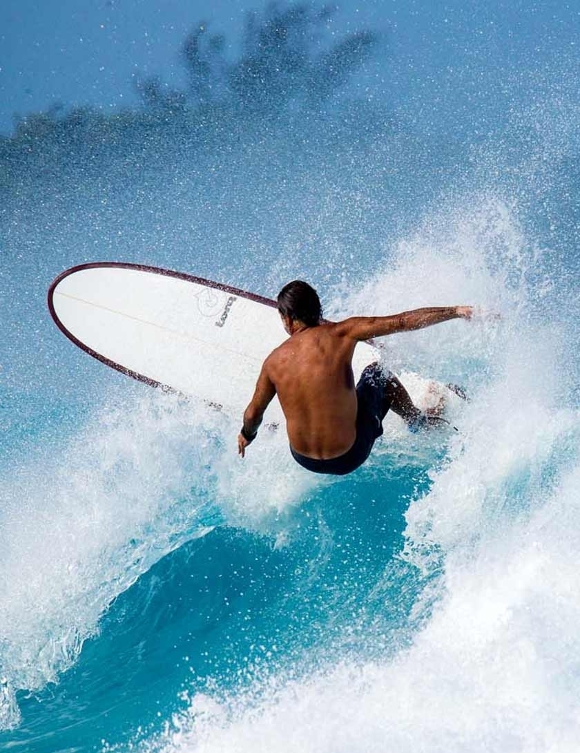 Torq Longboard surfboard 9ft 6 - package - White Pinline