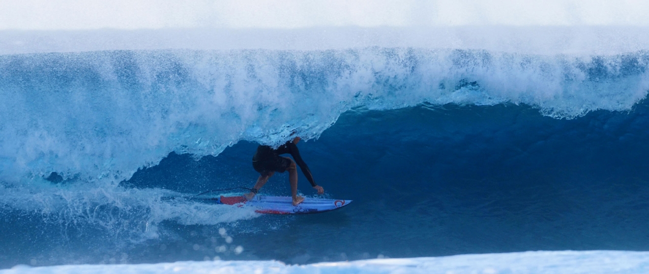 Channel Islands Neck Beard 3