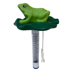 floating frog swimming pool thermometer