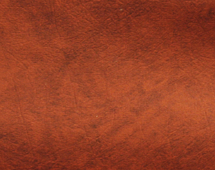 Hot Spring Envoy Cover Rust 2004 to 2013 side to side 300867