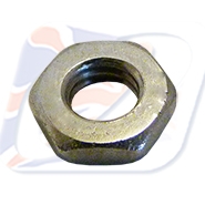 M6x1.00 HALF NUT, 10mm AF HEX, STAINLESS